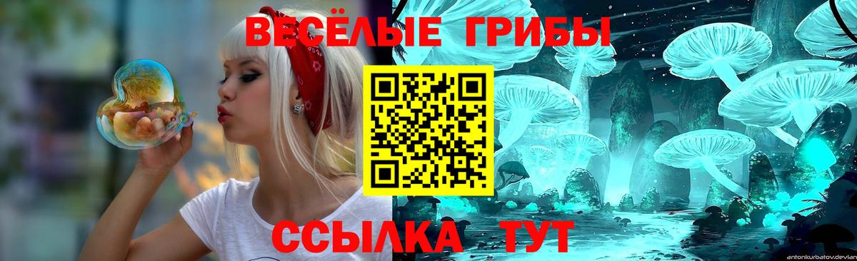 Галлюциногенные грибы Psilocybe Новочебоксарск